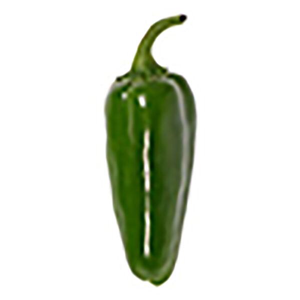 Jalapeno pepper