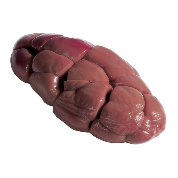 Veal kidneys
