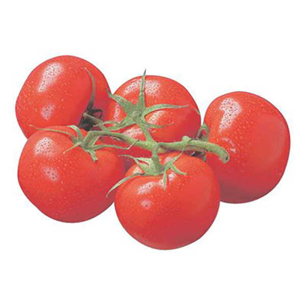 Tomates rouges en grappe