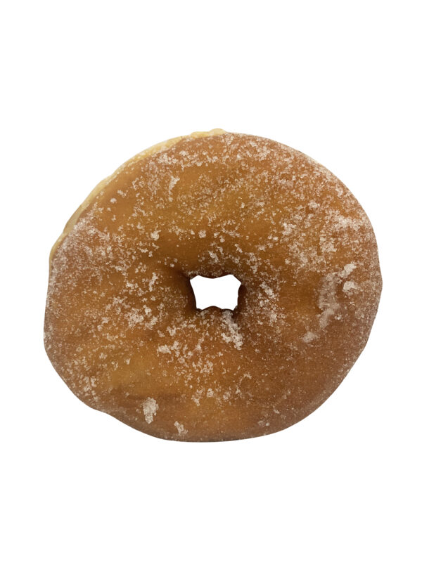Plain Donut, 1 unit